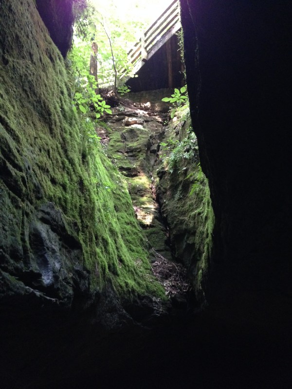 wild cave